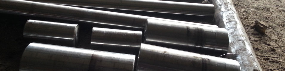  FORGED BAR................................................................................................................................................................Lempra Steeltech Pvt. Ltd